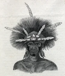 Oprindelige folk på Ny Guinea (Ny Guinea): sort person fra Doreh. Gravure i “L