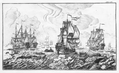 La chasse à la caleine - indgravering i "" Klassisk beretning om den artiske hvalfangstindustri"" af Cornelis Zorgdrager
