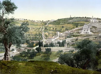 Oliebjerget og Getsemani, Jerusalem. Fotokrom mellem 1890-1900.