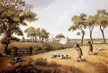 Agerhønsjagtscene: Litografi fra det 19. århundrede Gien, jagtmuseum