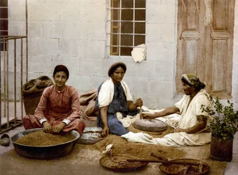 Bønder støber hvede i Jerusalem. Photochrome sd. mellem 1890-1900.