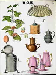 Plade, der illustrerer de forskellige stadier af fremstilling af kaffe, kaffegren, mølle og forskellige kaffemaskiner. Indgravering af privatsamlingen fra det 19. århundrede