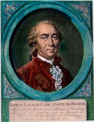 Portræt af George Louis Le Clerc, greve af Buffon (1707-1788), fransk naturforsker og forfatter. Indgravering af det 18. århundrede. Privat samling.