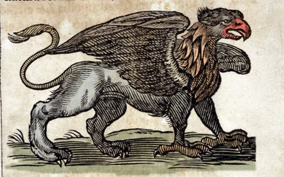 Repræsentation af en griffon, fantastisk væsen halv ørn halv løve. Gravering fra et værk af Athanasius Kircher (1601 - 1680), jesuite, orientalist og lærd.