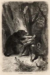 Forfatteren bliver under en udflugt rundt i Jacksonville overrasket i skoven af en tambjørn og kæde. Gravering for at illustrere historien fire måneder i Florida, af Achille Pousselgue i 1851-1852, udgivet i "" Le tour du monde"" 1870-1871, redigeret