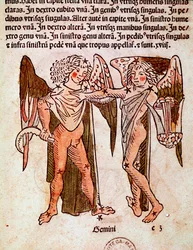 Konstellationen Gemeaux Detail stammer fra konstellationen Tvillinger (tvillinger), tilskrevet den romerske historiker Hyginus (Gaius Julius Hyginus) (1. århundrede f.Kr.).