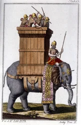 Elefanten, som karthagerne brugte som dyr til arbejde og krig. gravering - i "" Enciclopedia universale illustrata""
