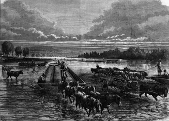 Transport af olietønder til Oil Creek, Pennsylvania, USA