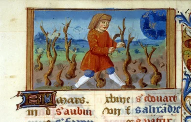 Stjernetegn Vædderen og træstørrelse - Miniature af middelalderen (ref. 137, 047r) - Anmod om tilladelse fra det kommunale bibliotek i Toulouse (tlf.: 05 62 27 66 66)