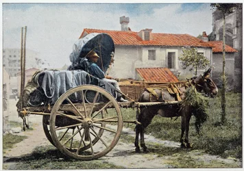 En vognmand bærer sin vin. Rom, Italien, slutningen af det 19. århundrede.