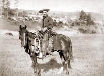 En cowboy til hest - foto