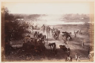 Bagage kolonne under Delhi Camp of Exercise, 1885 ca