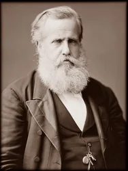 Portræt af Dom Pedro II (Peter II) (Dom Pedro de Alcantara) (1825-1891), kejser af Brasilien