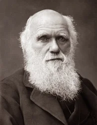 Den engelske naturforsker Charles Robert Darwin (1809-1882)