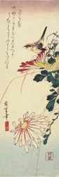 (Chrysanthemums and a Shrike), 1830-1858