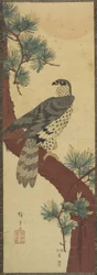(Hawk on Pine Branch, Summer), september 1853
