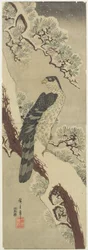 (Hawk on Pine Branch, Winter), begyndelsen af det 19. århundrede