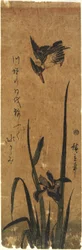 (Iris og Isfugl), 1830-1858
