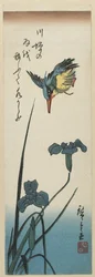 (Iris og Kingfisher), 1843-1847