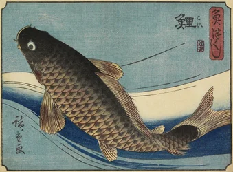 Karpe, 1830-1844