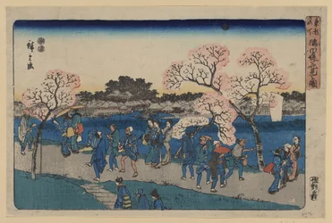 Chery b oso MS Aong g Sumida-floden. Illustration af Sumida Hanami