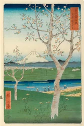 Fuji fra Koshigaya, Musashi, nr. 14 fra serien «36 udsigter over Fuji-bjerget», «Fuji Saryu Rokkei»