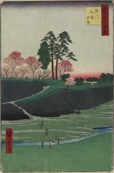 Gotenyama Garden, Shinagawa, Appli 1856