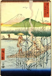 Hiroshige, Sagami-floden