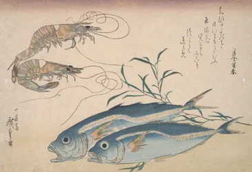 Hestemakrel, ferskvandsrejer og tang, ca. 1832
