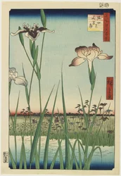 Irishaven i Horikiri, maj 1857