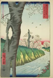 Koganei i Musashi-provinsen (Musashi Koganei), fra serien "Seksogtredive udsigter over Mount Fuji (Fuji sanjurokkei)"