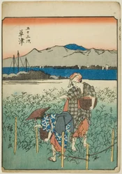 Kusatsu, fra seriens "fifty-tre S tachi-lyd s "of te urbanity" (Goshuyama næste) )
