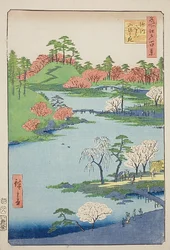 Åbning af haven ved Fukagawa Hachiman-helligdommen (Fukagawa Hachiman yamabiraki), nr. 68 fra serien "One Hundred Famous Views of Edo (Meisho Edo hyakkei)"