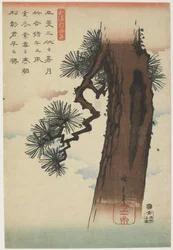 Pine Tree, 1837-1844 (træblok i farver)