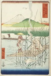 Sagami-floden