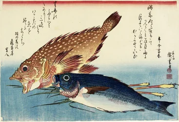 Skorpionfisk, hønsegrint og ingefærskud, ca. 1832