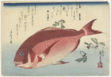 Havbrasen og Sansho_Sprigs, ca. 1832