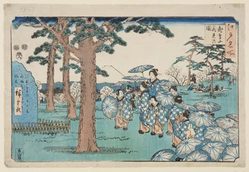 Visning af kirsebærblomster ved Asuka Hill (Asukayama hanami no zu) (træblok i farver)