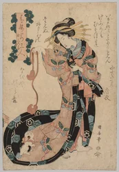 Kurtisane