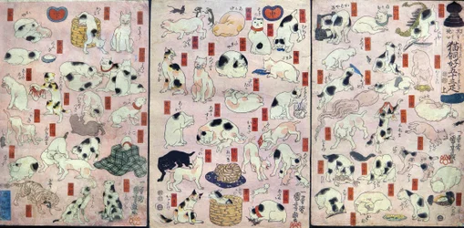 Treoghalvtreds katte som ordspil for navnene på stationen på Tōkaidō Road (Sono mama jiguchi myōkaidō gojūsan biki), ca. 1848