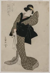 Segawa Roko As