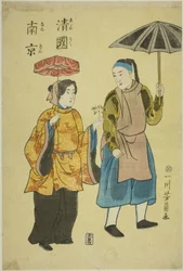 Kinesisk tilbage fra Nanjing (rapporteret Nanjing)