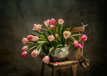 Elegante lyserøde tulipaner