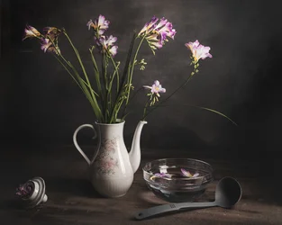 Stilleben med lilla freesia