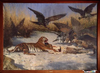 En menneskeæder - Maleri af Vasili Vasilyevich Vereshchagin (Vassili Vereshchagin) (1842-1904), olie på lærred, ca. 1870-1880, russisk kunst 1800-tallet - Regionalt W Wereshchagin Art Museum, Mykolaiv (Ukraine)