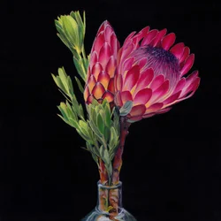 Pink Protea-vaser