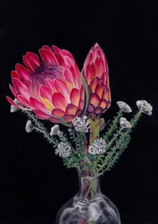 Protea og Blombos Af Viccy Wanliss