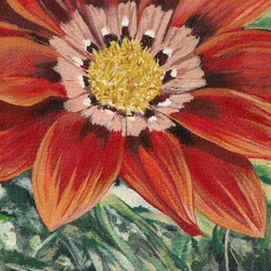 Strålende orange blomst