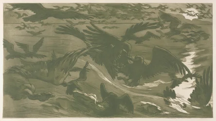 Rovfugle, 1893.