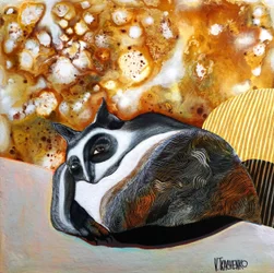 Et eftertænksomt, stribet væsen